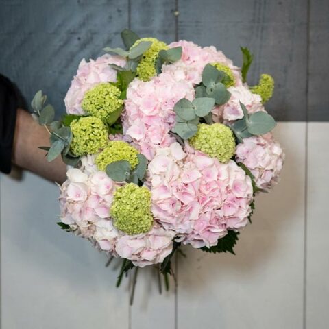Brassée d'hortensias roses aube