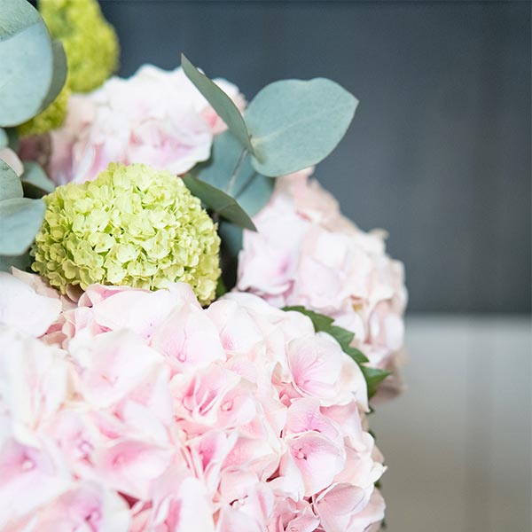 Détails brassée d'hortensias roses aube