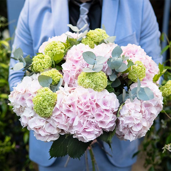 Brassée d'hortensias roses aube en extérieur