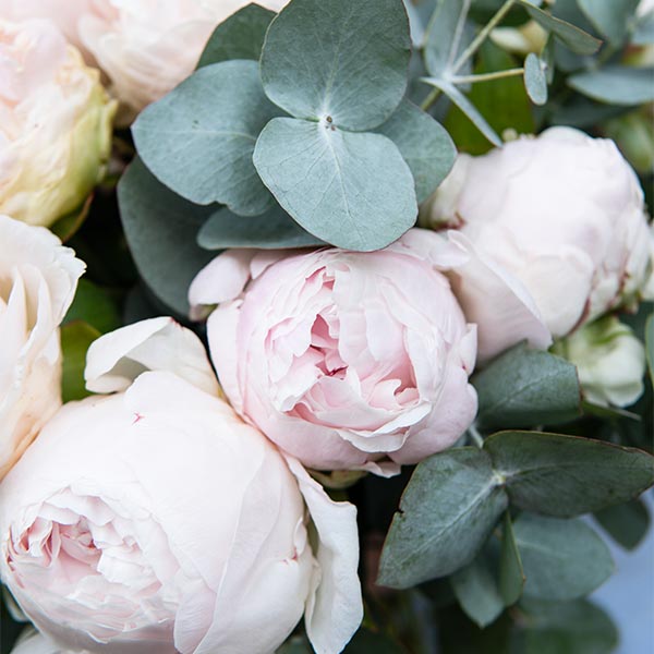 bouquet de pivoines pelican fleurs photo de détails