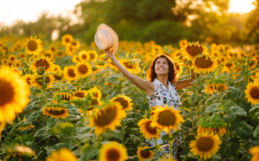 Young woman strolling through field with sunflowers at sunset. Carefree woman walking and enjoying beautiful nature environment. Summer holidays, vacation, relax and lifestyle