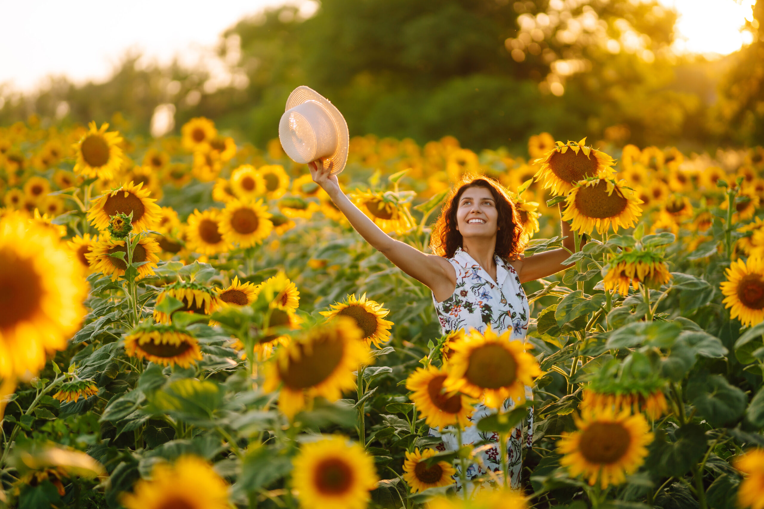 Young woman strolling through field with sunflowers at sunset. Carefree woman walking and enjoying beautiful nature environment. Summer holidays, vacation, relax and lifestyle