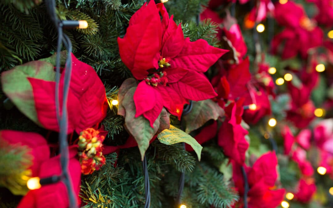 close up of christmas tree with floral decorations