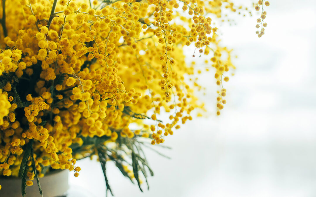 Une bonne année démarre toujours avec un bouquet 