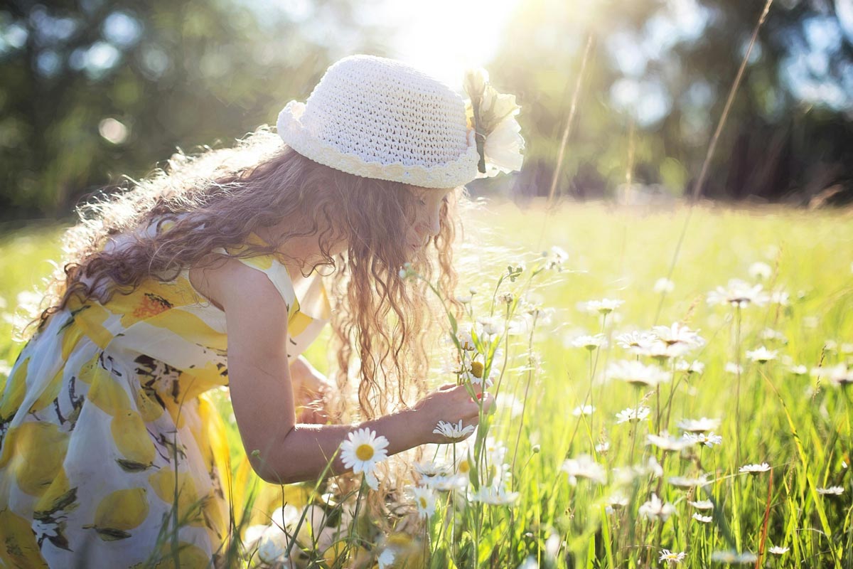 Champ de marguerites ensoleillé avec une petite fille