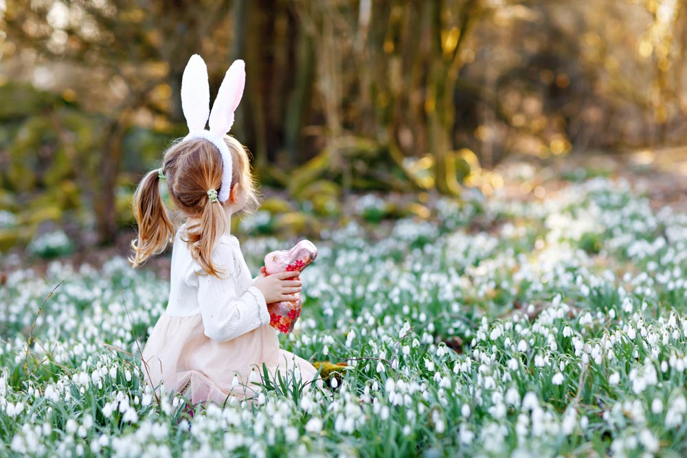 Petite fille ramassant du chocolat dans un champ de fleurs blanches