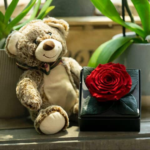 Coffret contenant un ours en peluche et une rose rouge éternelle