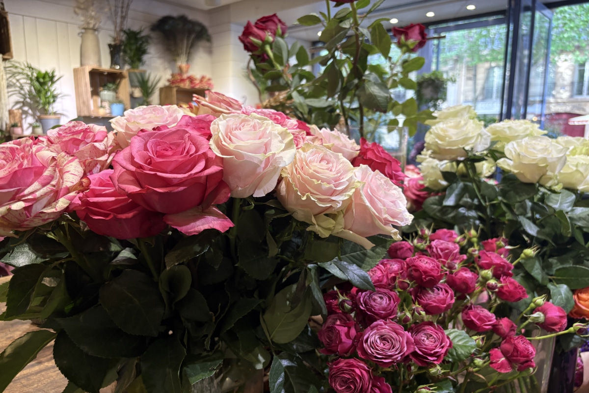 fleur au premier plan boutique pelican fleurs fleuriste